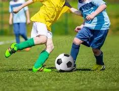 滇超赛场惊,酷萌双面,隐藏巨星,6686体育平台,6686体育官方网站,6686体育登录入口,6686体育app下载