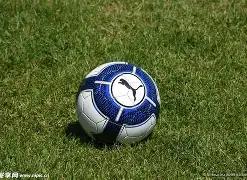 罗杰斯远程,破门逆势,埃梅里坚信,6686体育平台,6686体育官方网站,6686体育登录入口,6686体育app下载