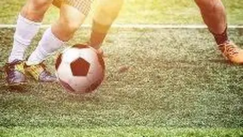 6686体育 产品 100144 5zd