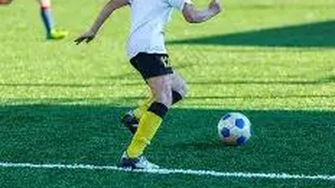 Novafms Pro APP 评测结果