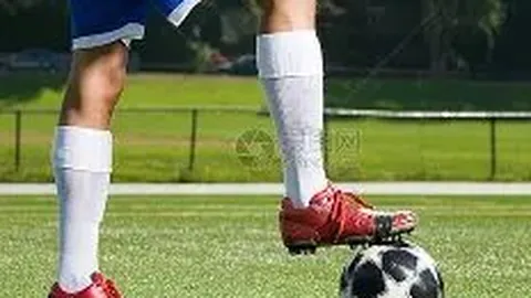 6686体育 产品 112404 1rl