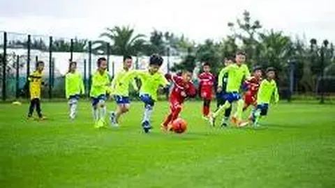 6686体育 产品 112658 fmh