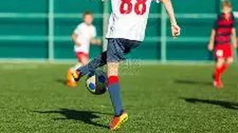 6686体育 资讯 100544 trj